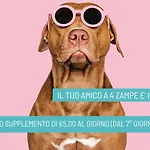 Hotel B&B Nizza Riccione