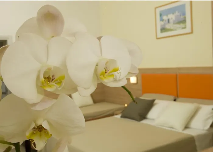 Hotel Consuelo