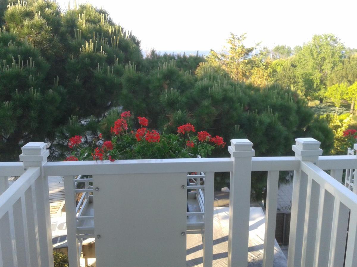 Aida Riccione