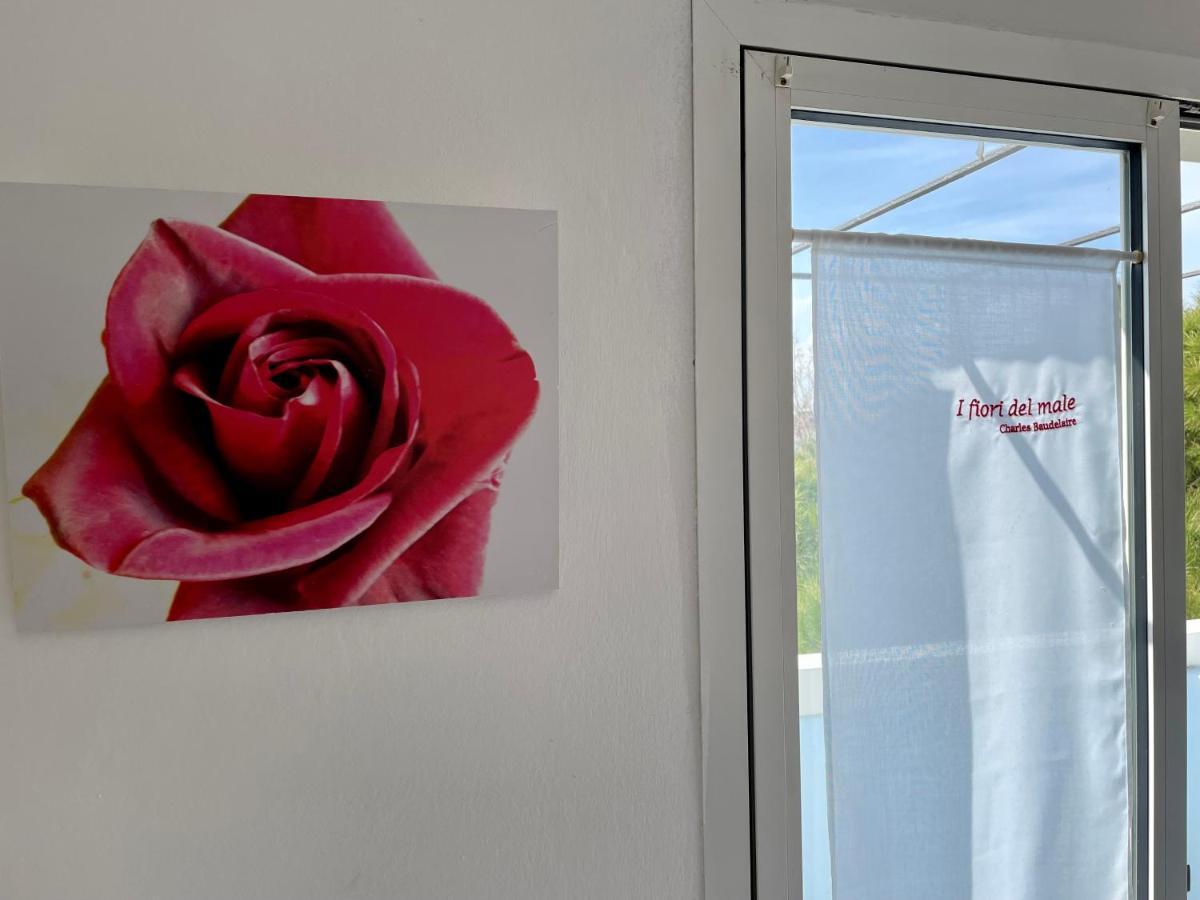 Morri - Il Biblihotel Riccione