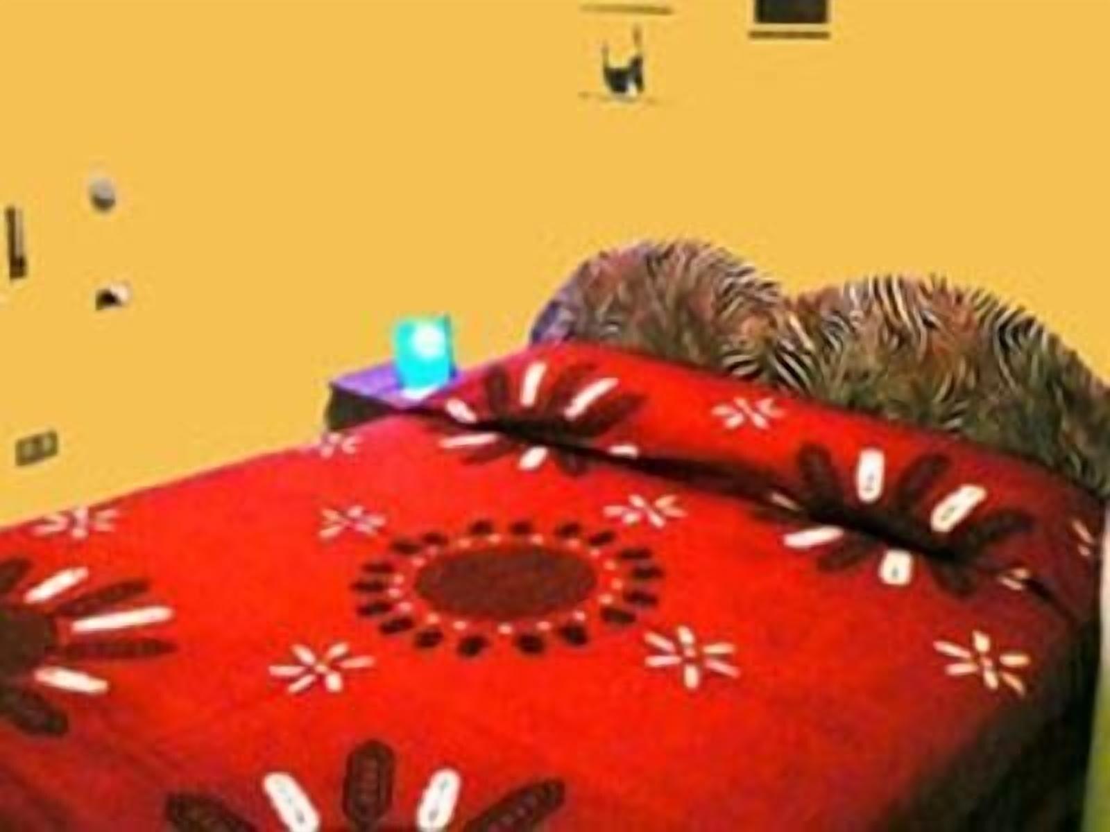 Hotel - Enjoy Your Summer -beach Village Incluso Riccione