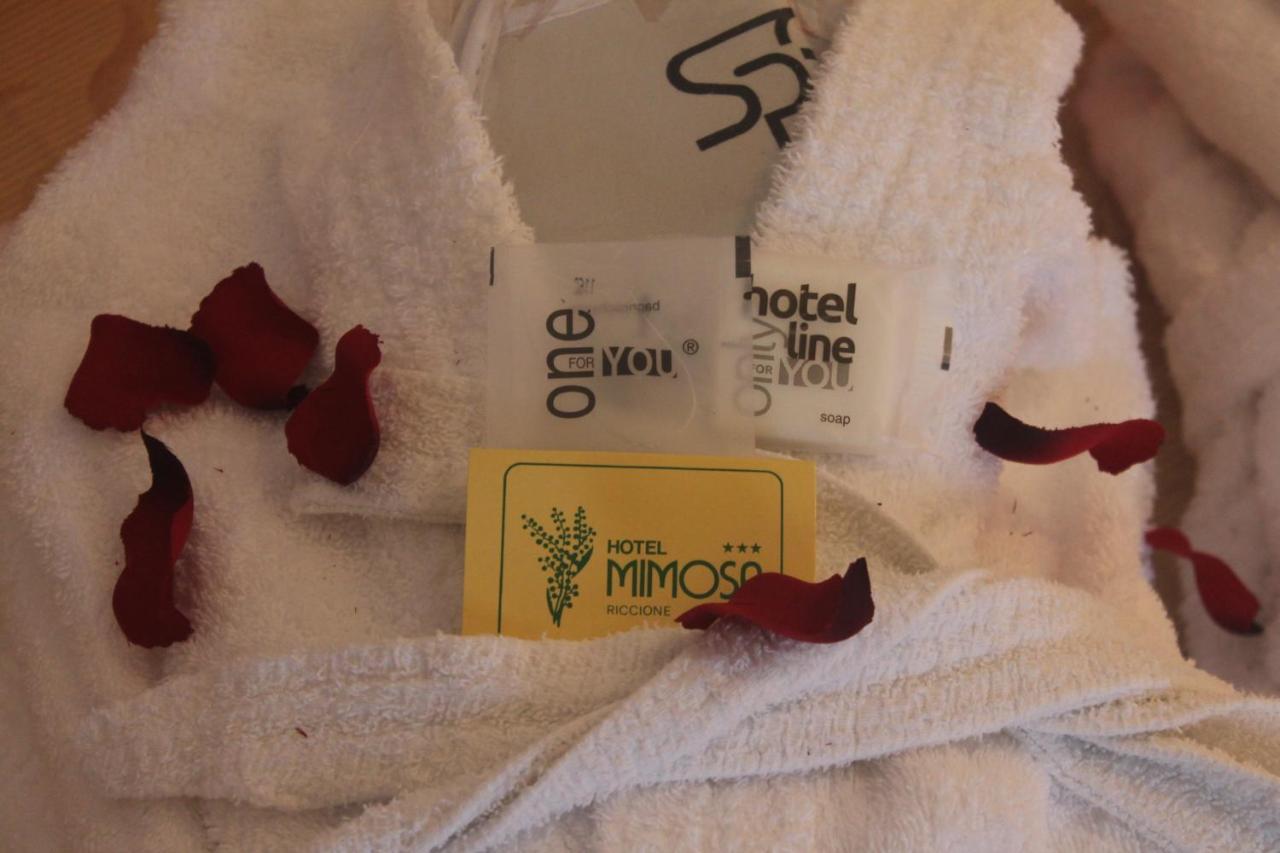 Hotel Mimosa 3*