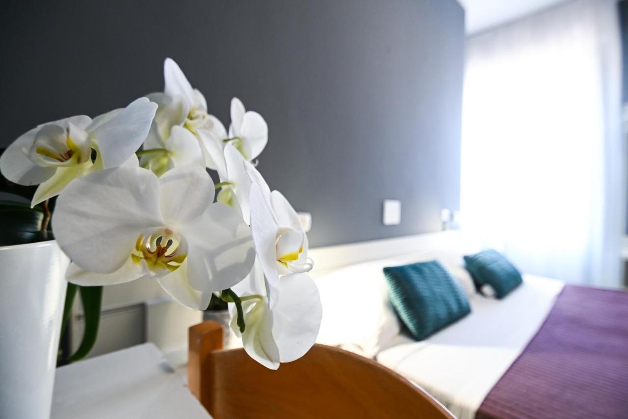 Hotel Montebello Nuova Gestione Riccione