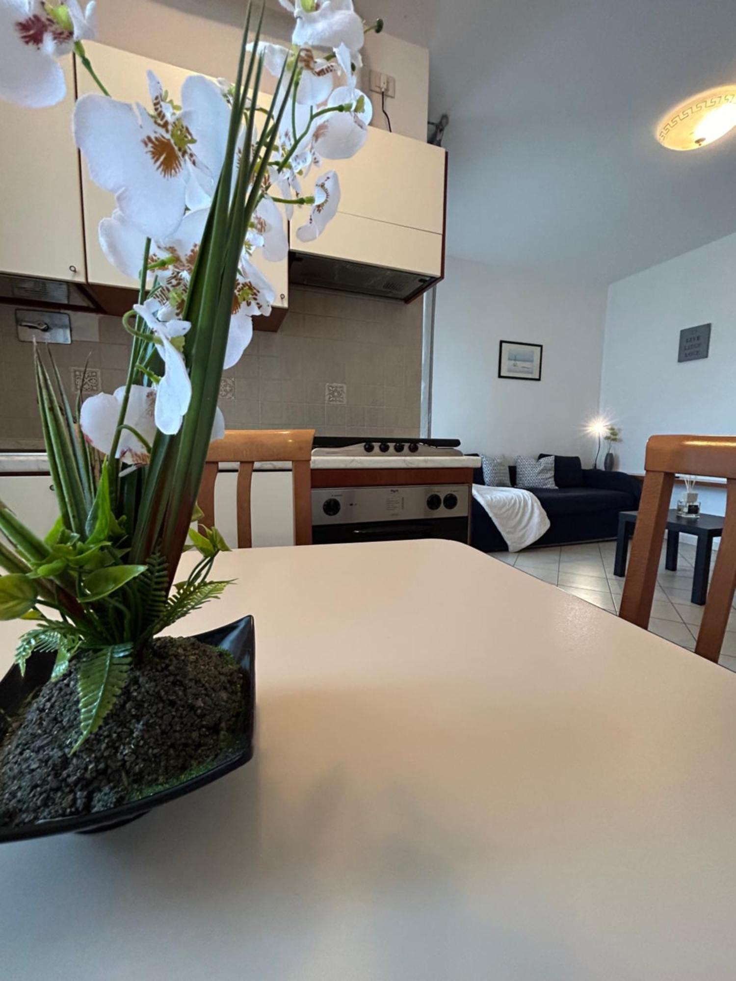 Apartment San Martino-flexrent Abissinia Riccione