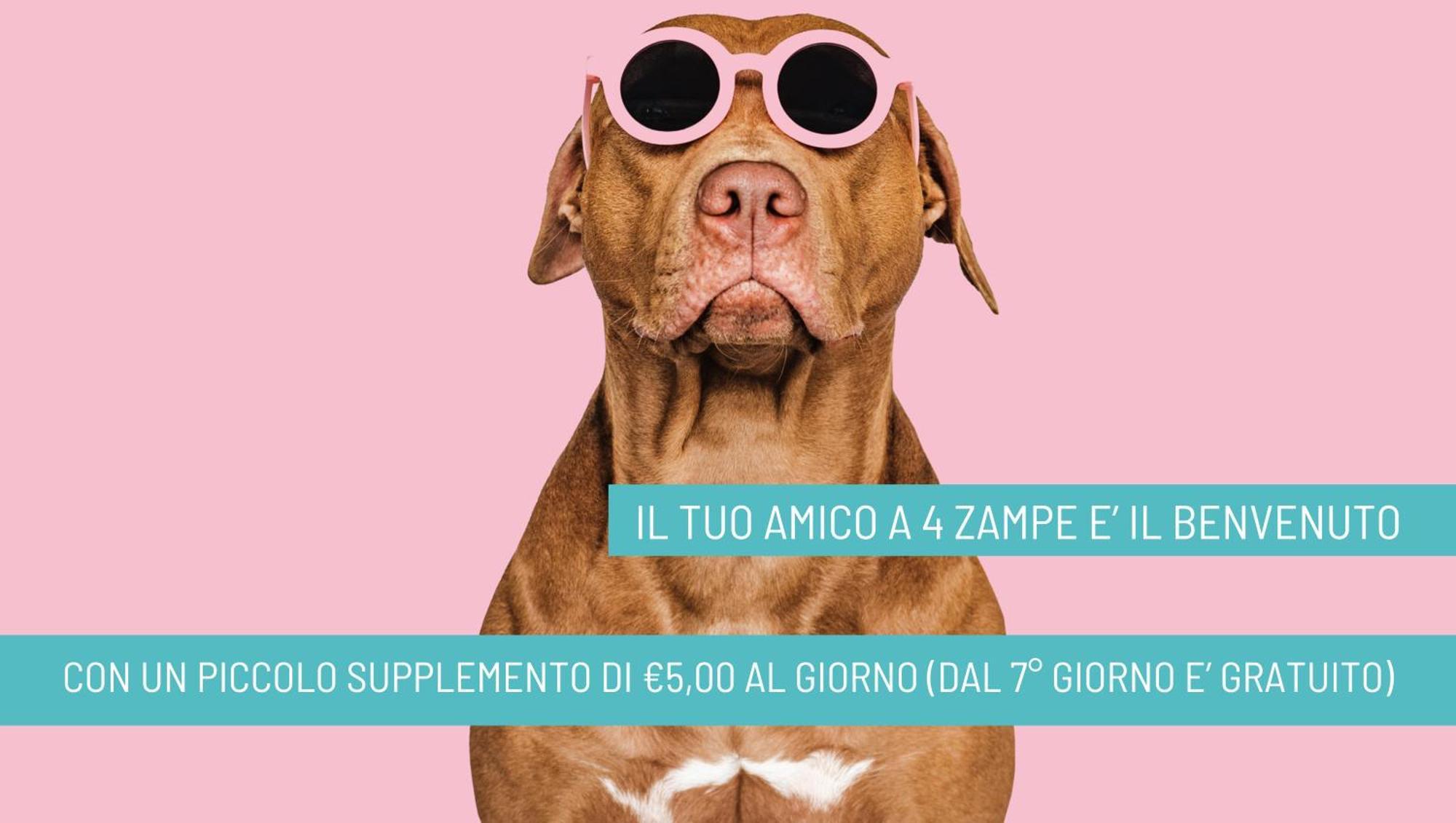 Nizza Hotel Riccione