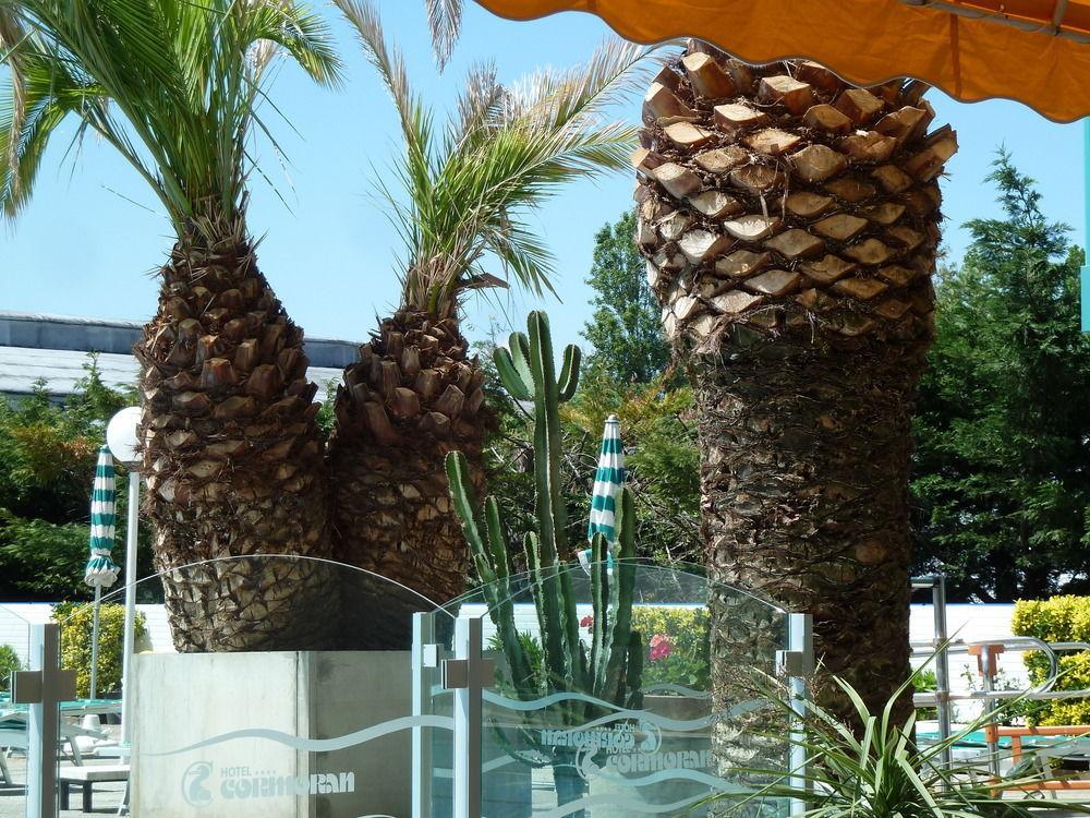 Cormoran 2* Riccione