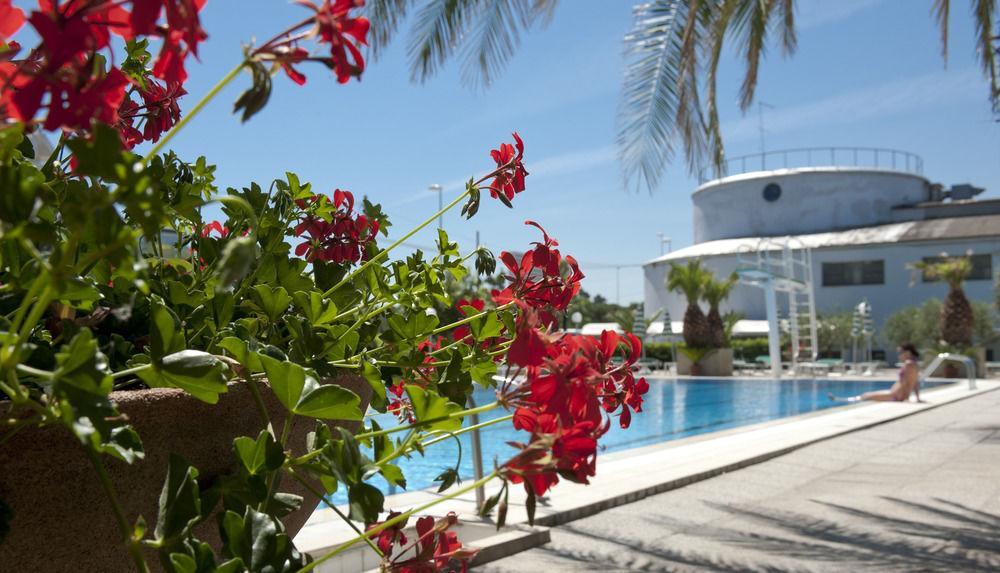 Cormoran Hotel 2*