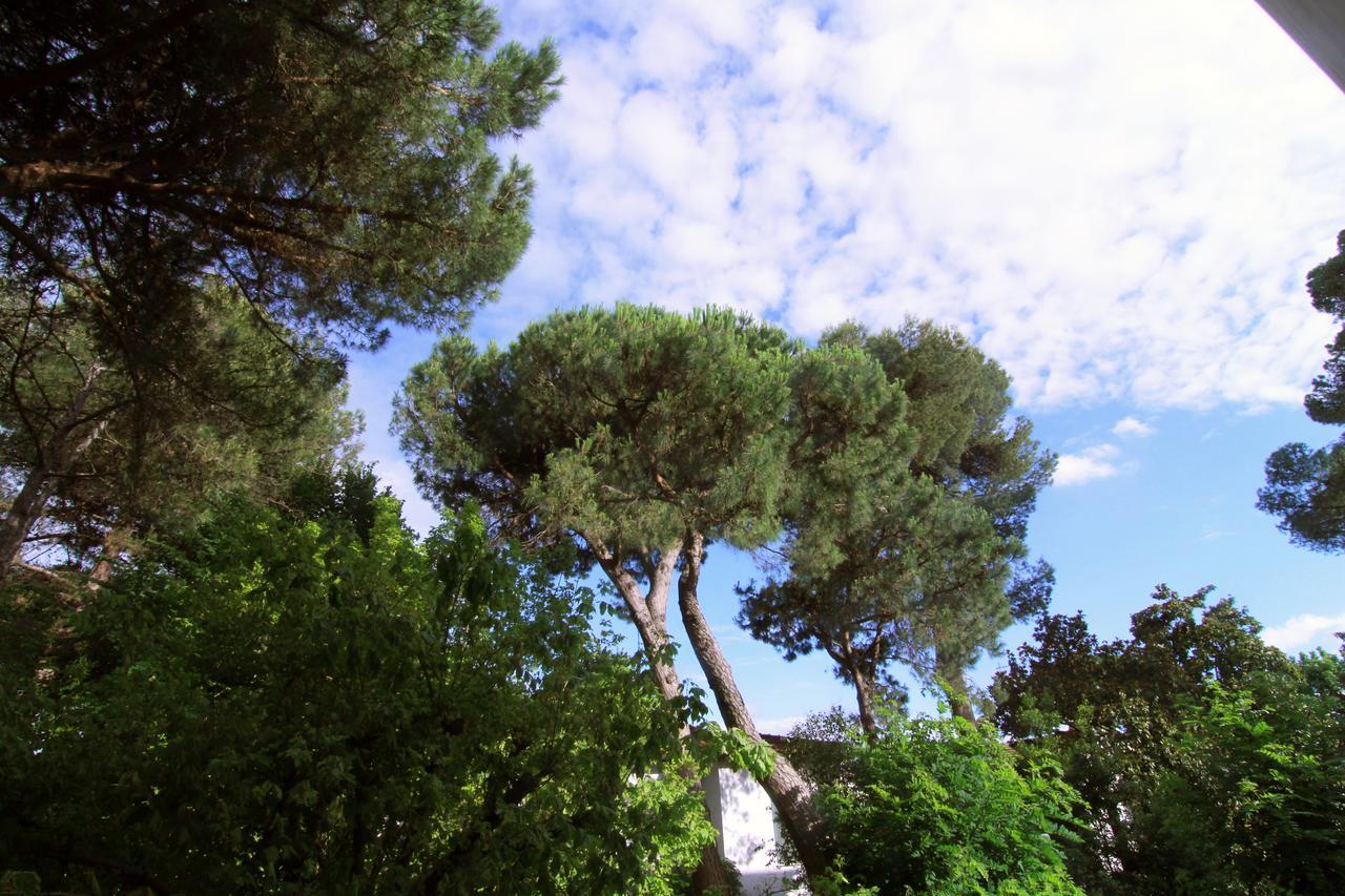 Garni Picnic
