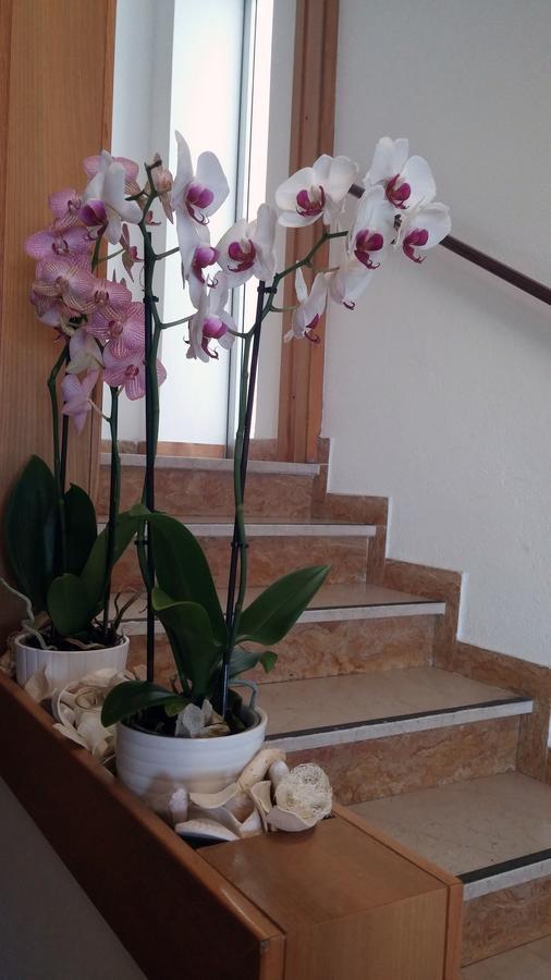 Hotel Rosalba 2*