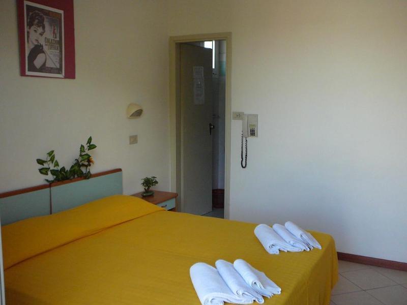 Hotel Cannes - In Pieno Centro 3*