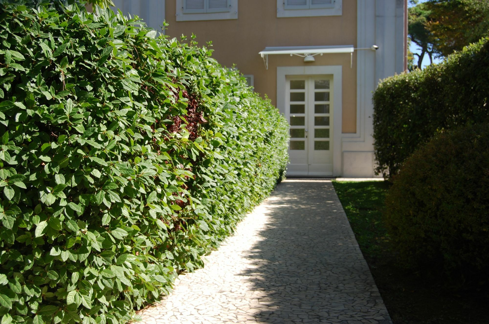 Ceccarini Aparthotel