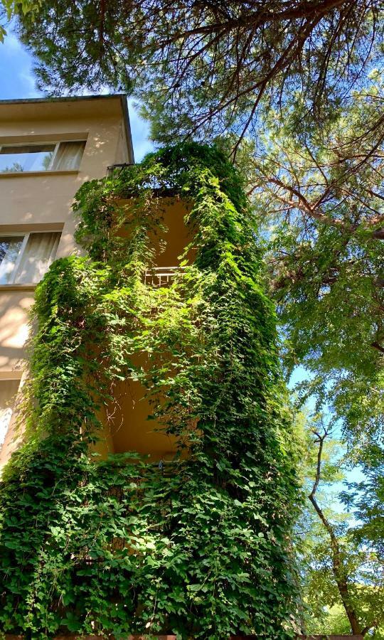 Garni Picnic Hotel *