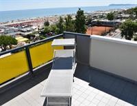 Mimosa Hotel 3*