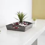 We Home - Casoli View 11 Riccione