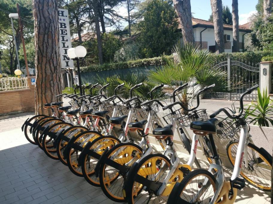 Bellini 2*
