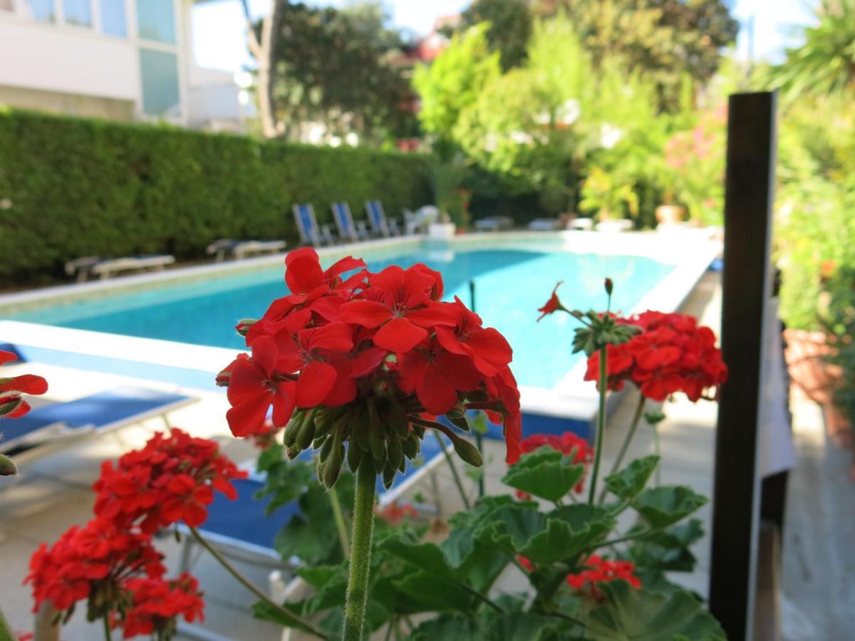 Madeira Hotel