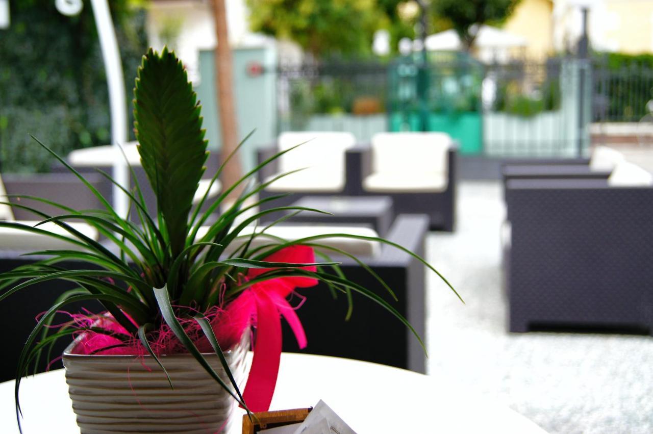 Hotel Hotel Arethusa Prestige 2*