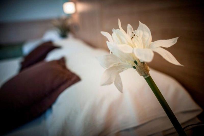 Amalfi - Smart 3* Riccione