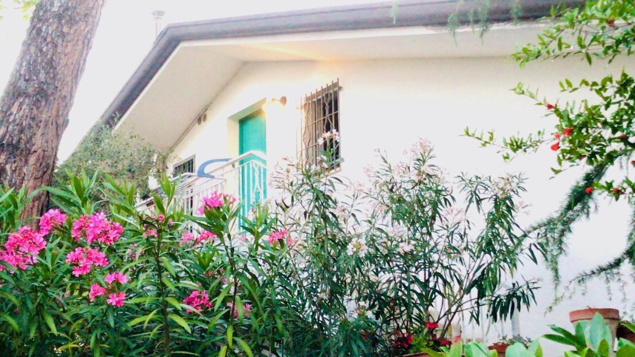 Apartment Renata Riccione