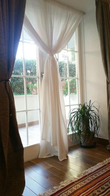 Apartment Cristina's Flat Riccione