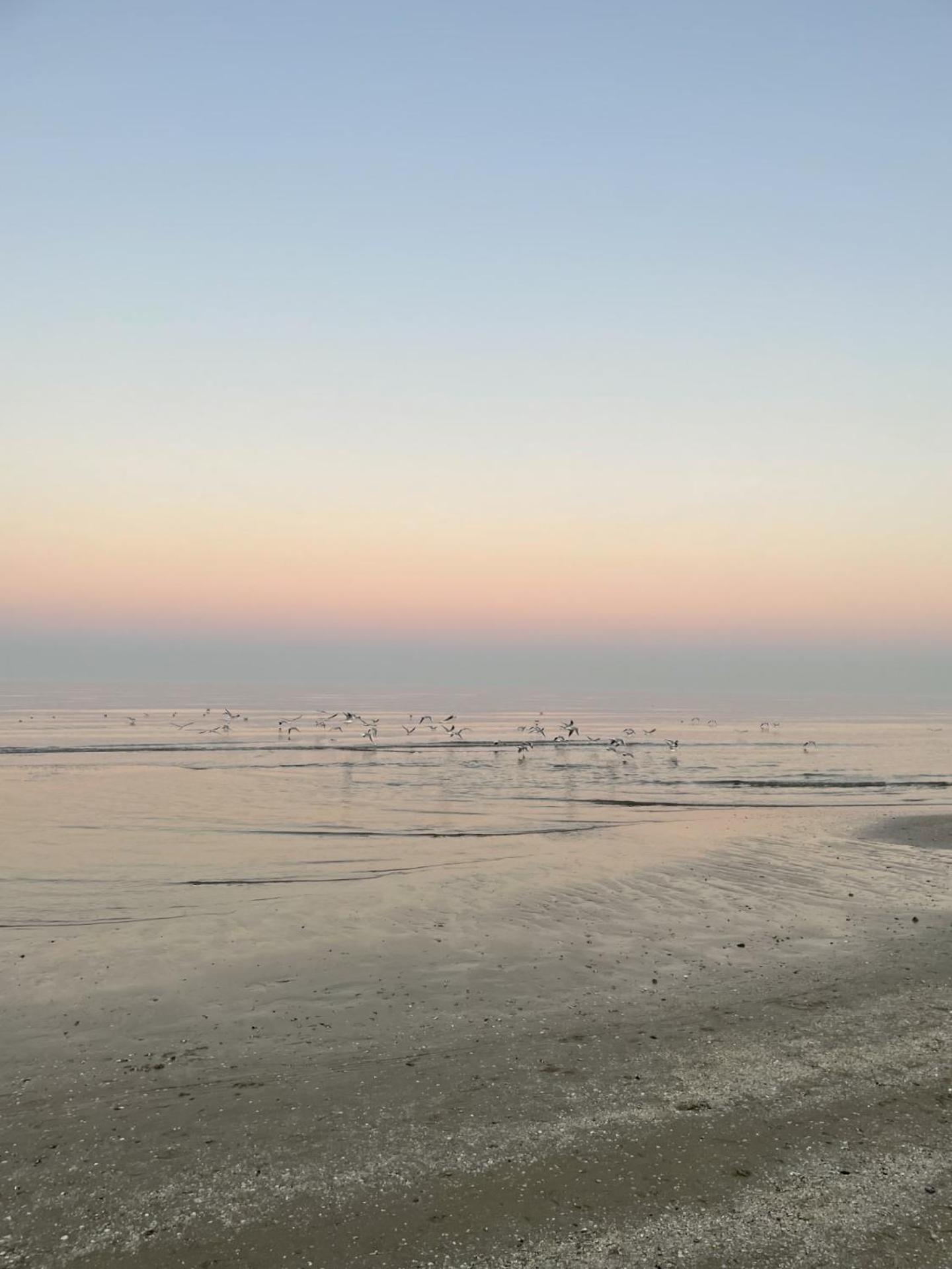 Napoleon 2* Riccione