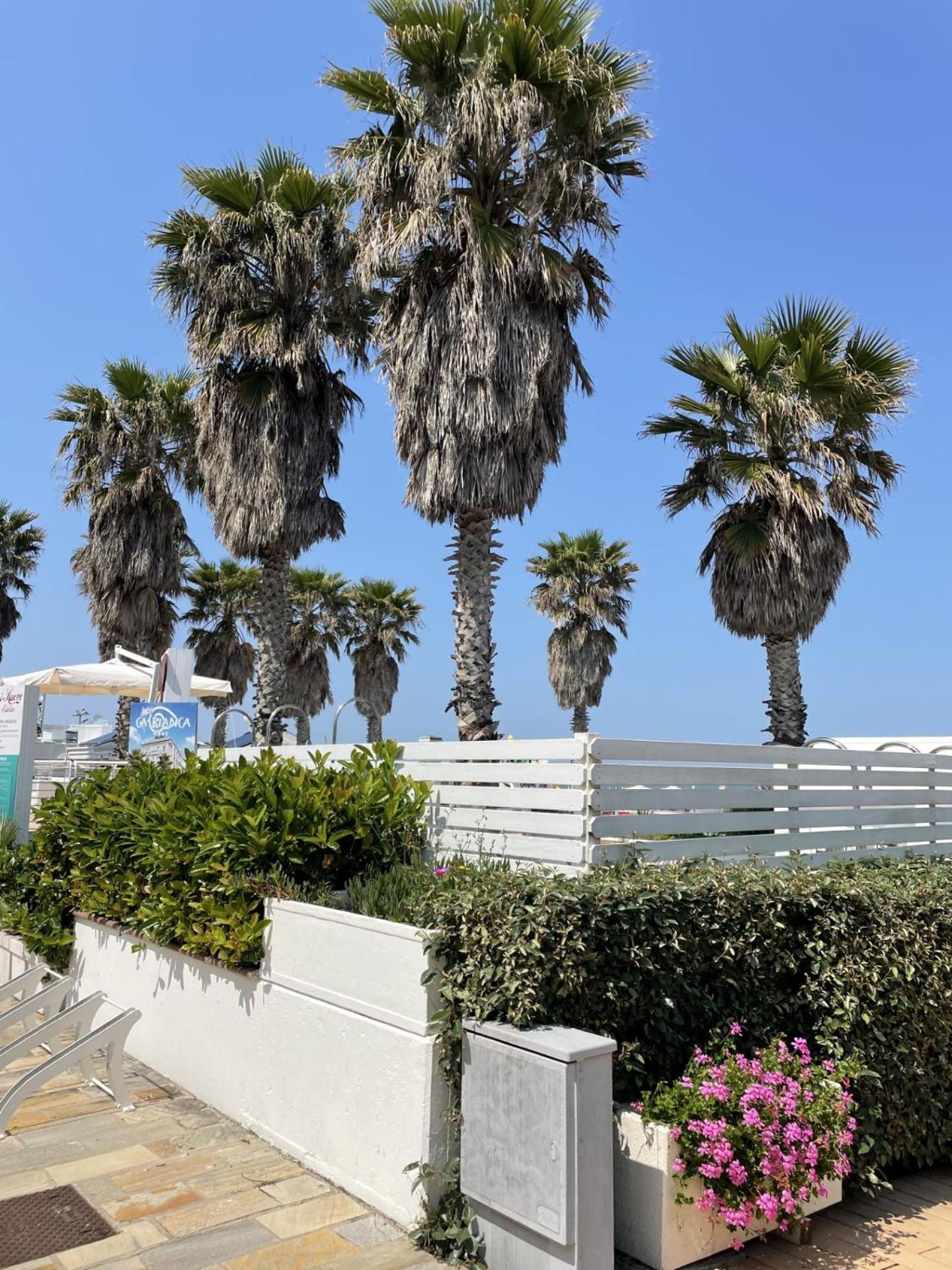 Napoleon Riccione