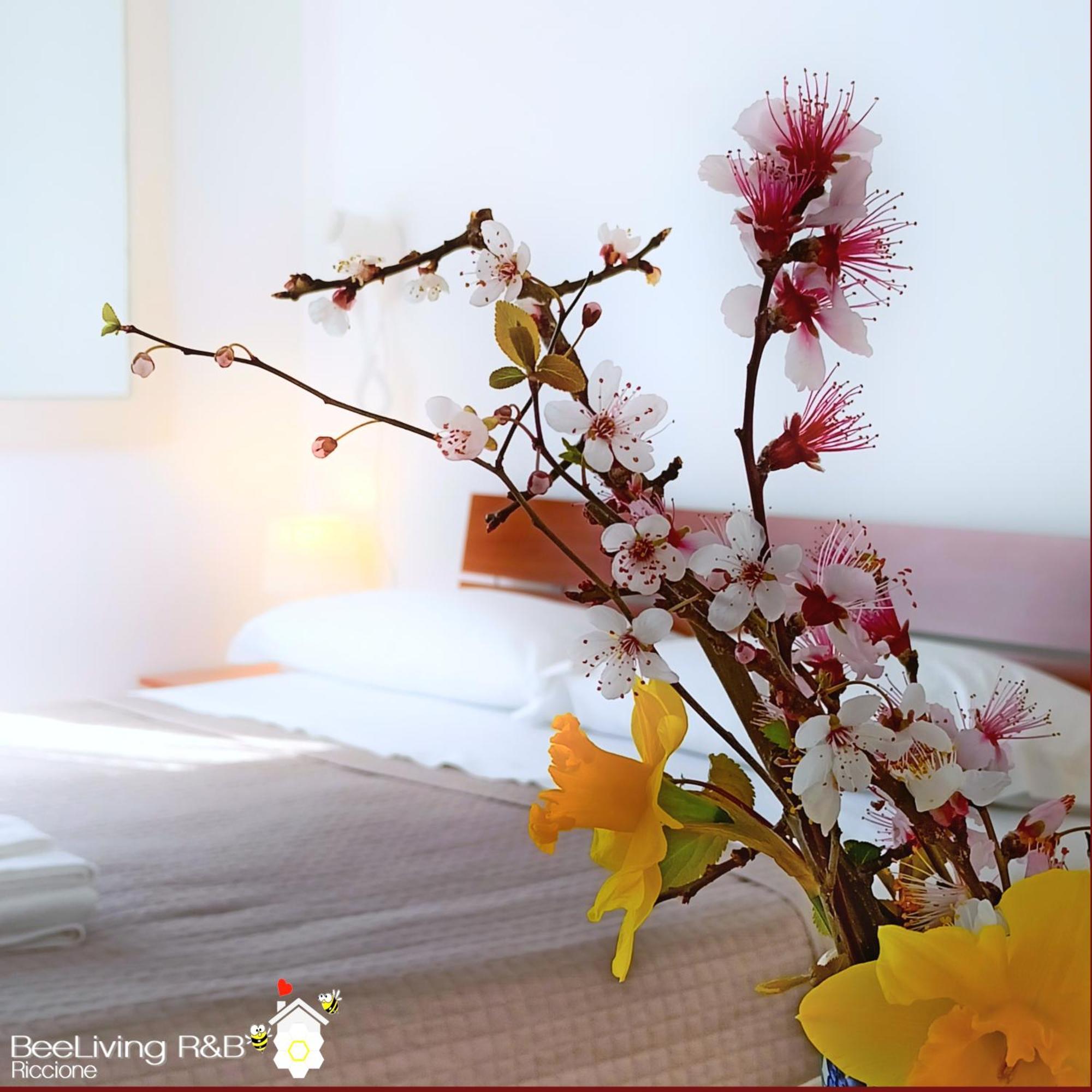 Beeliving Room&breakfast (adults Only) Riccione