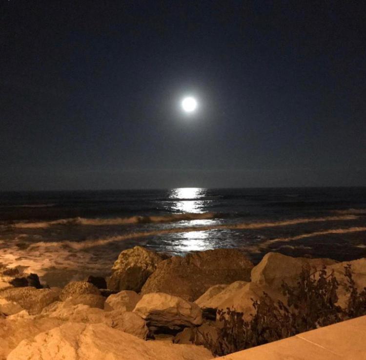 Il Mare In Stanza
