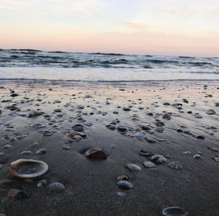 Il Mare In Stanza Appartamento *