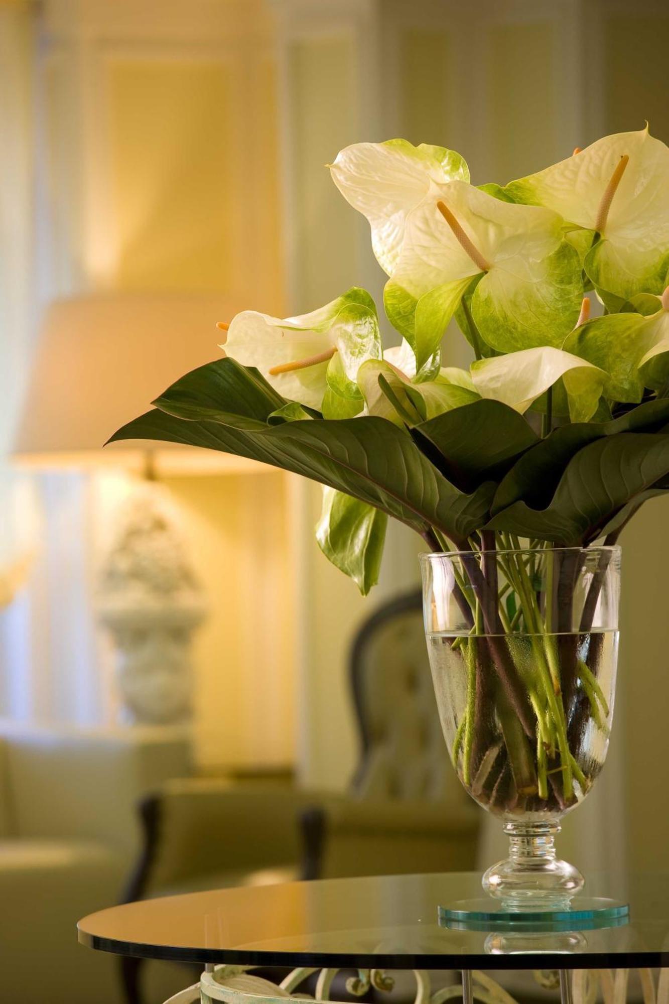 Hotel Roma 4*