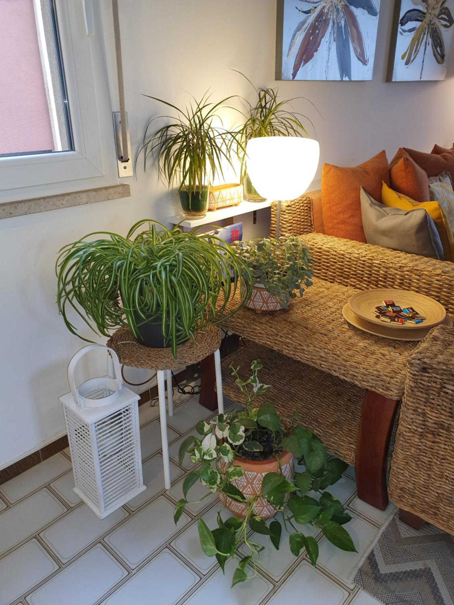 Bettina's Wonderful Flat Apartment Riccione