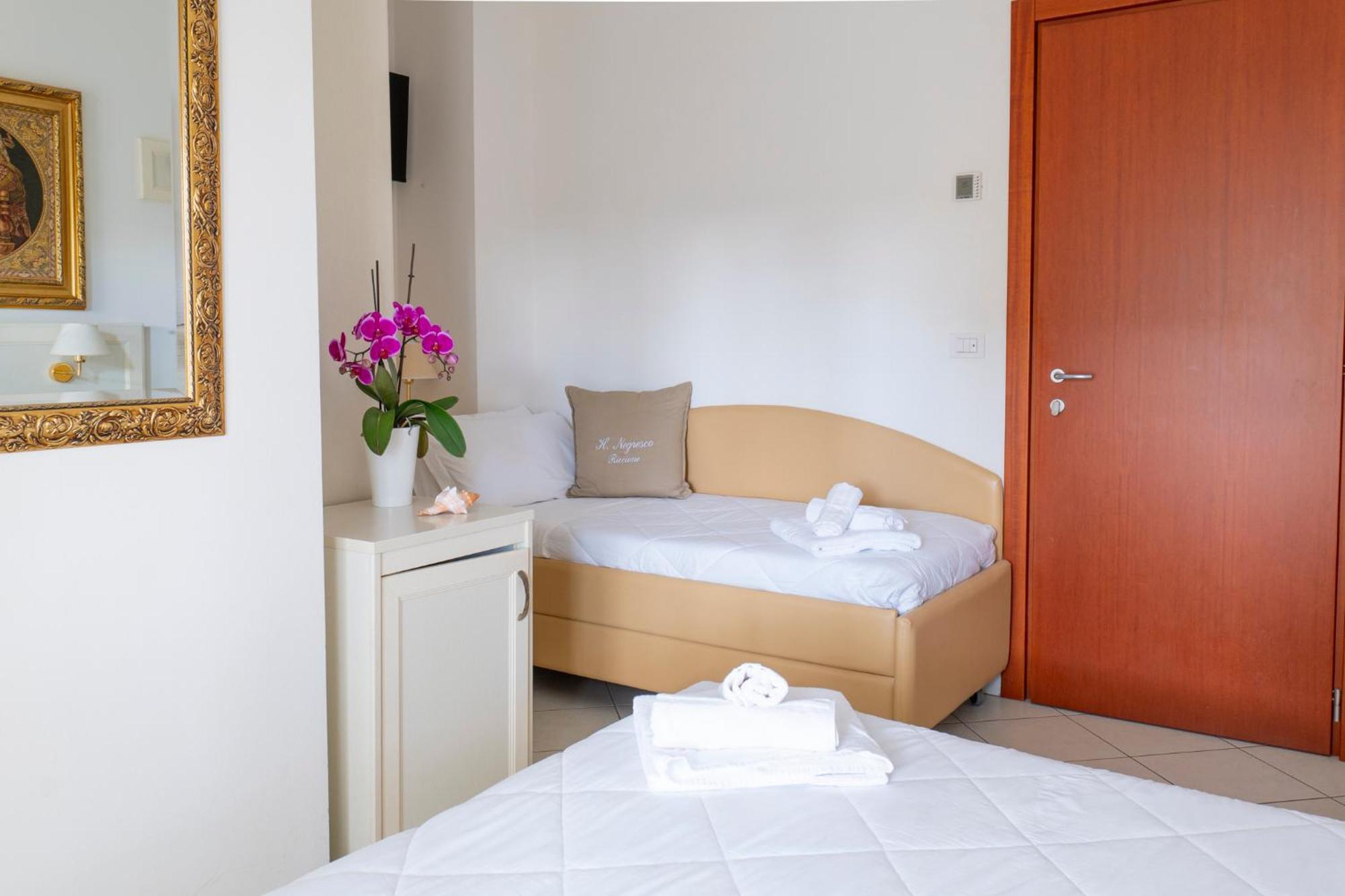 Negresco 3*