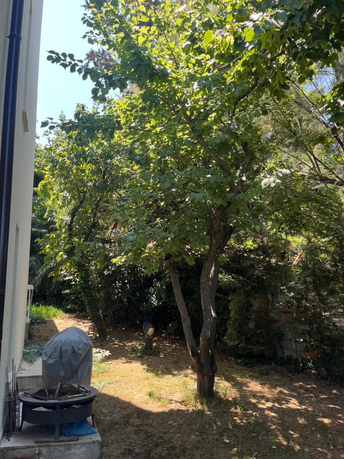 Panoramica Con Giardino A Riccione