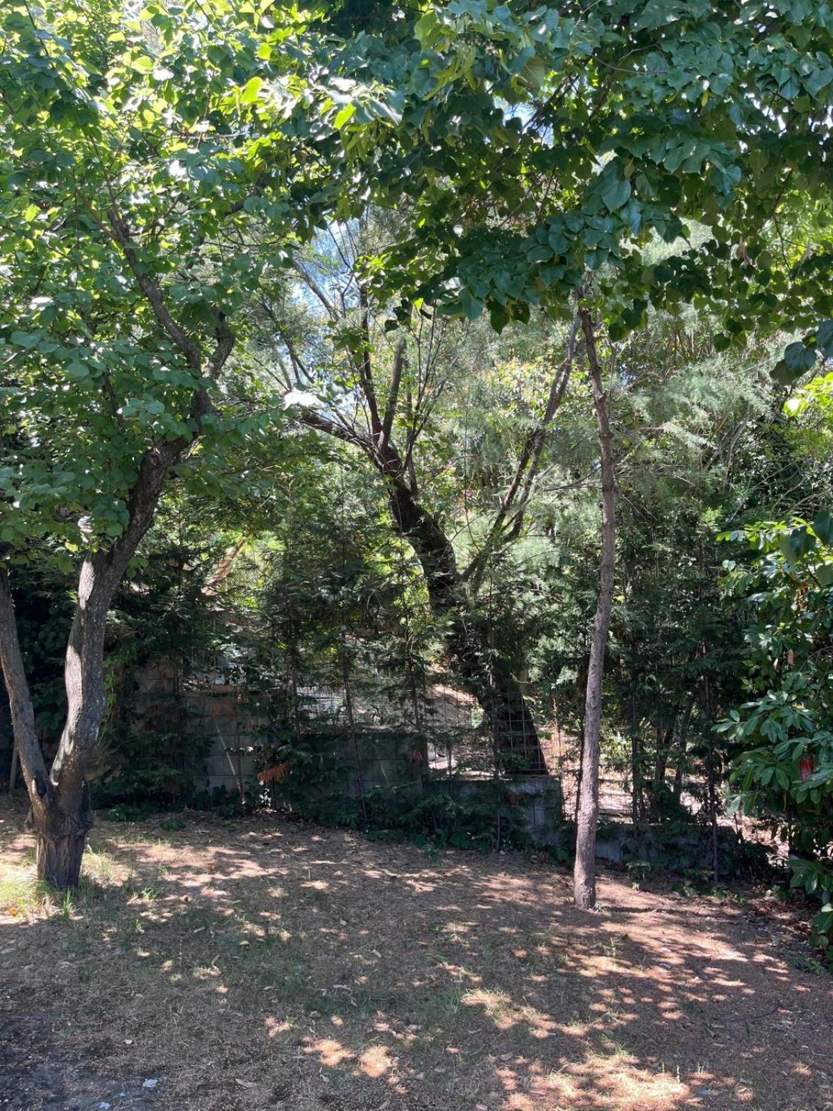 Villa Panoramica Con Giardino A *