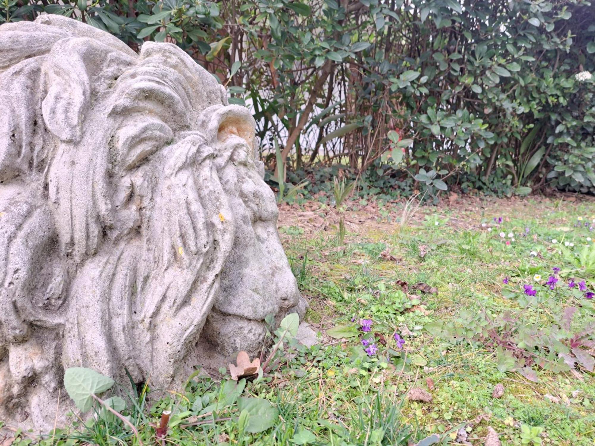 Lion House *