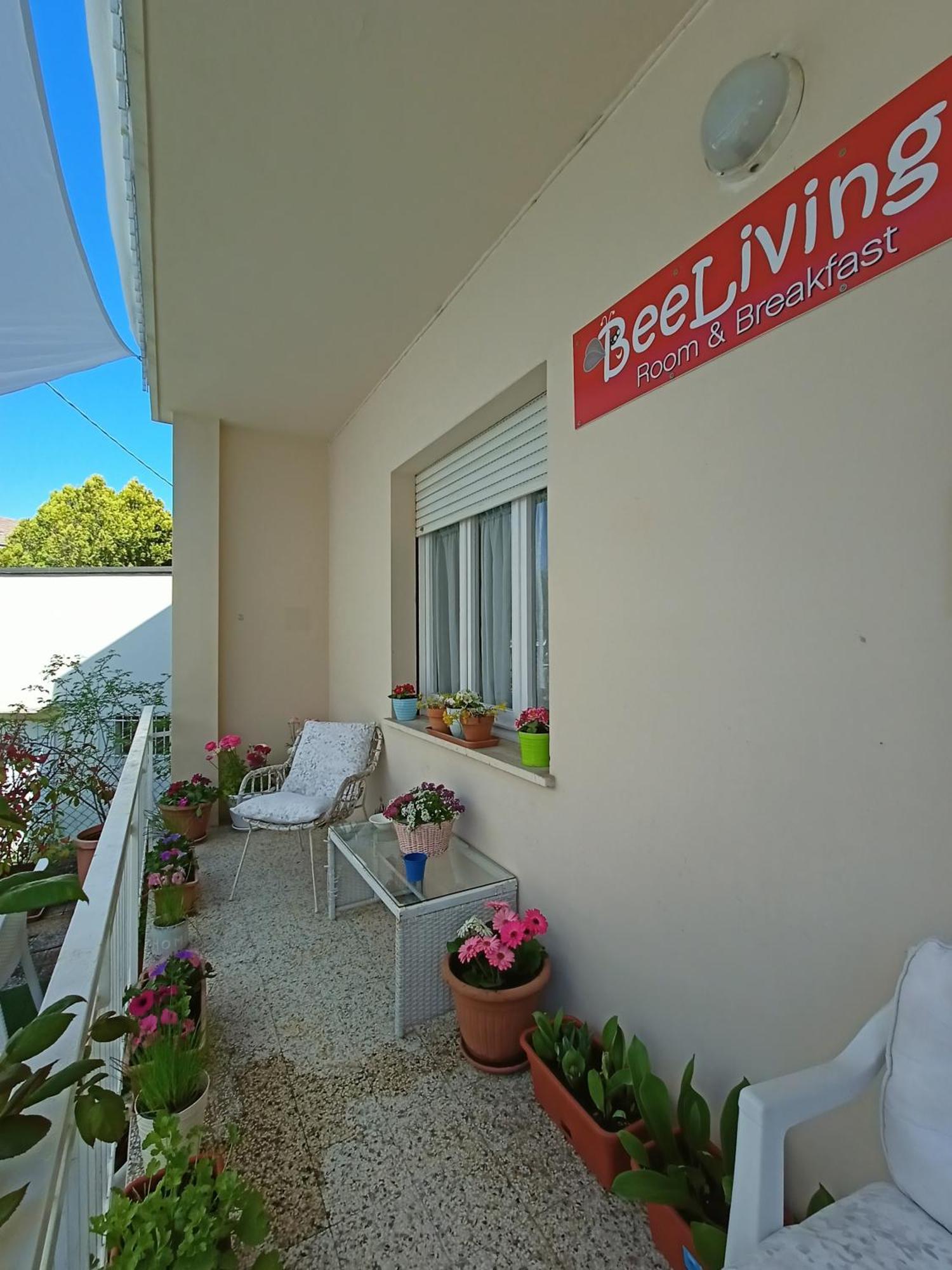 Beeliving Room&breakfast (adults Only) Bed & Breakfast Riccione