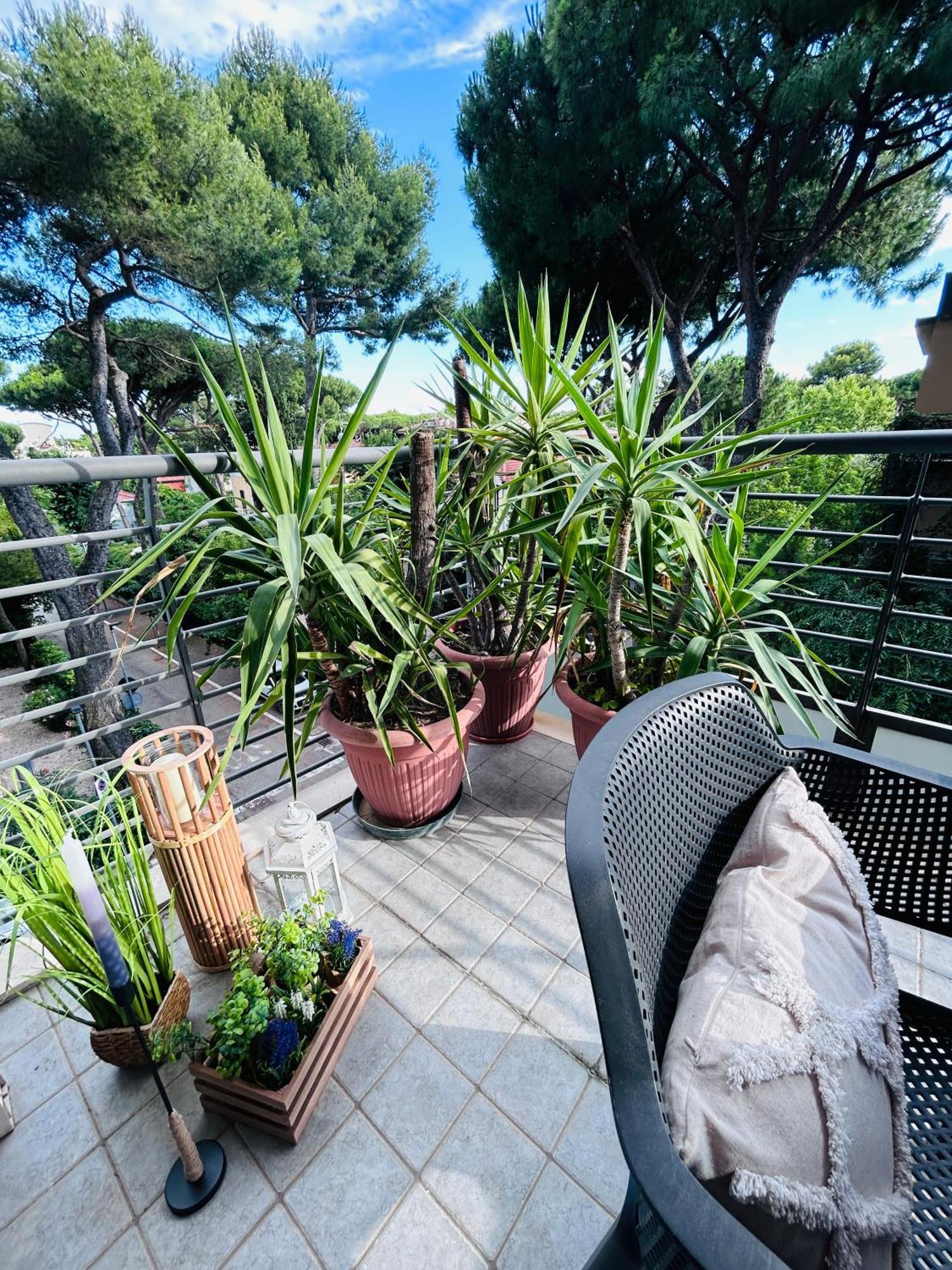 Damiano Chiesa Flexrent - Abissinia