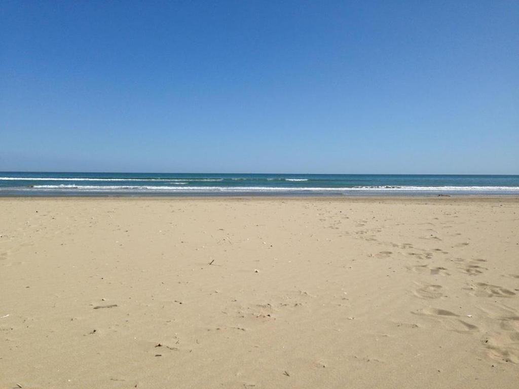 Zenit Riccione
