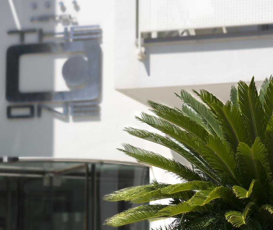 The One - Designed For Adults - Pet Lovers Riccione