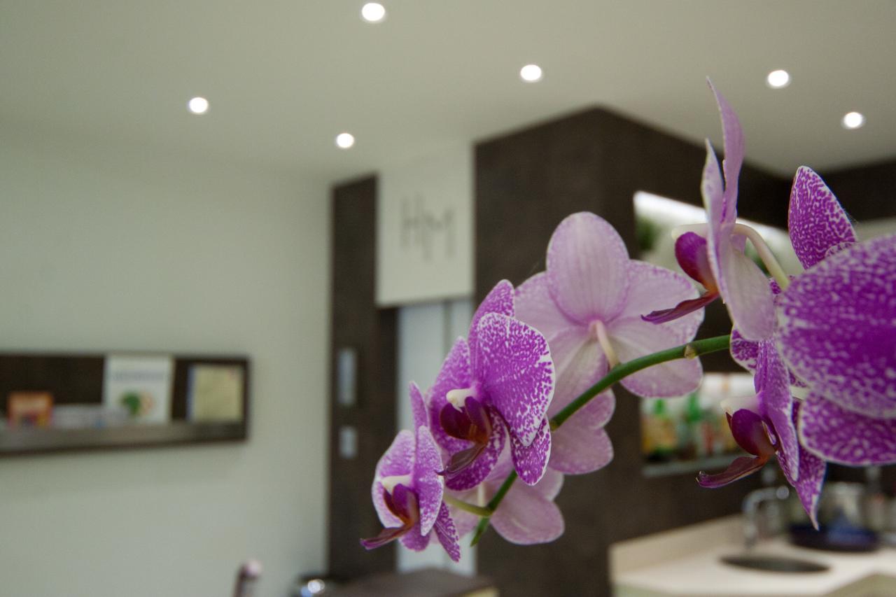Hotel Myosotis