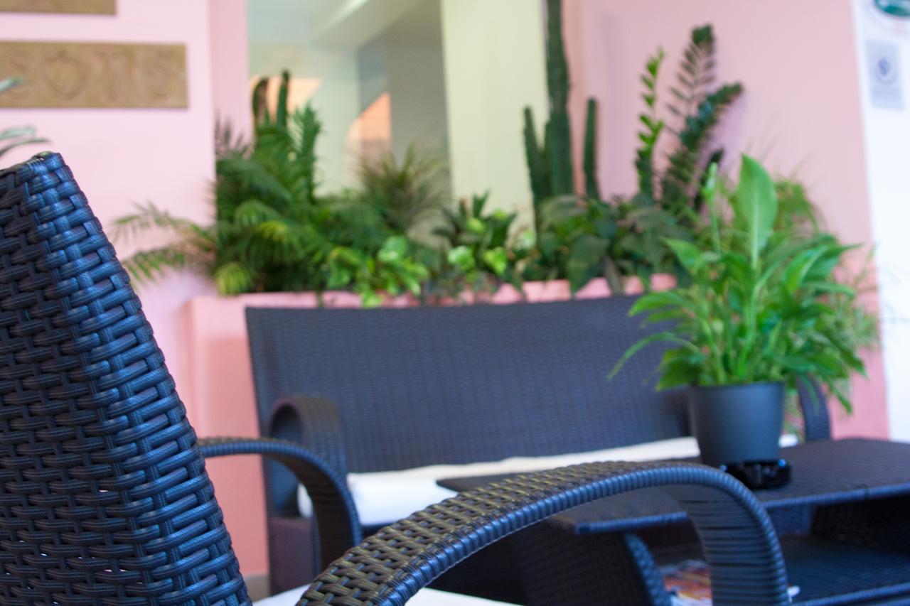 Hotel Myosotis
