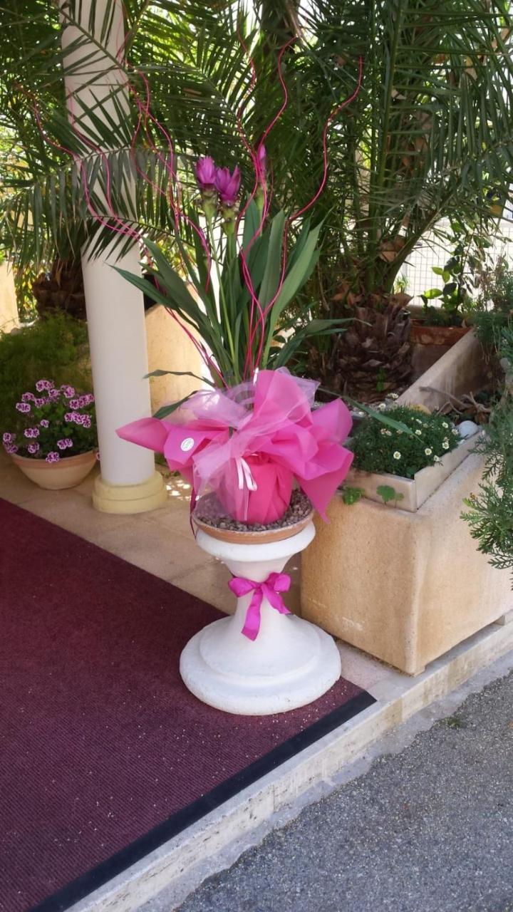 Hotel Tulipe Nazionale Riccione