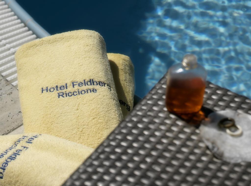 Hotel Feldberg