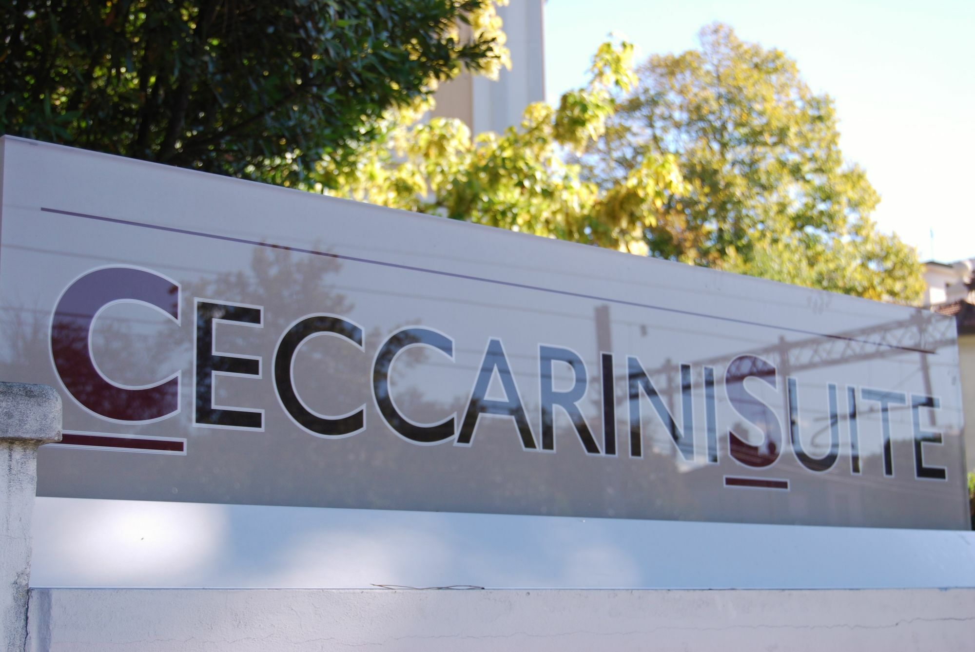 Ceccarini Aparthotel 2*