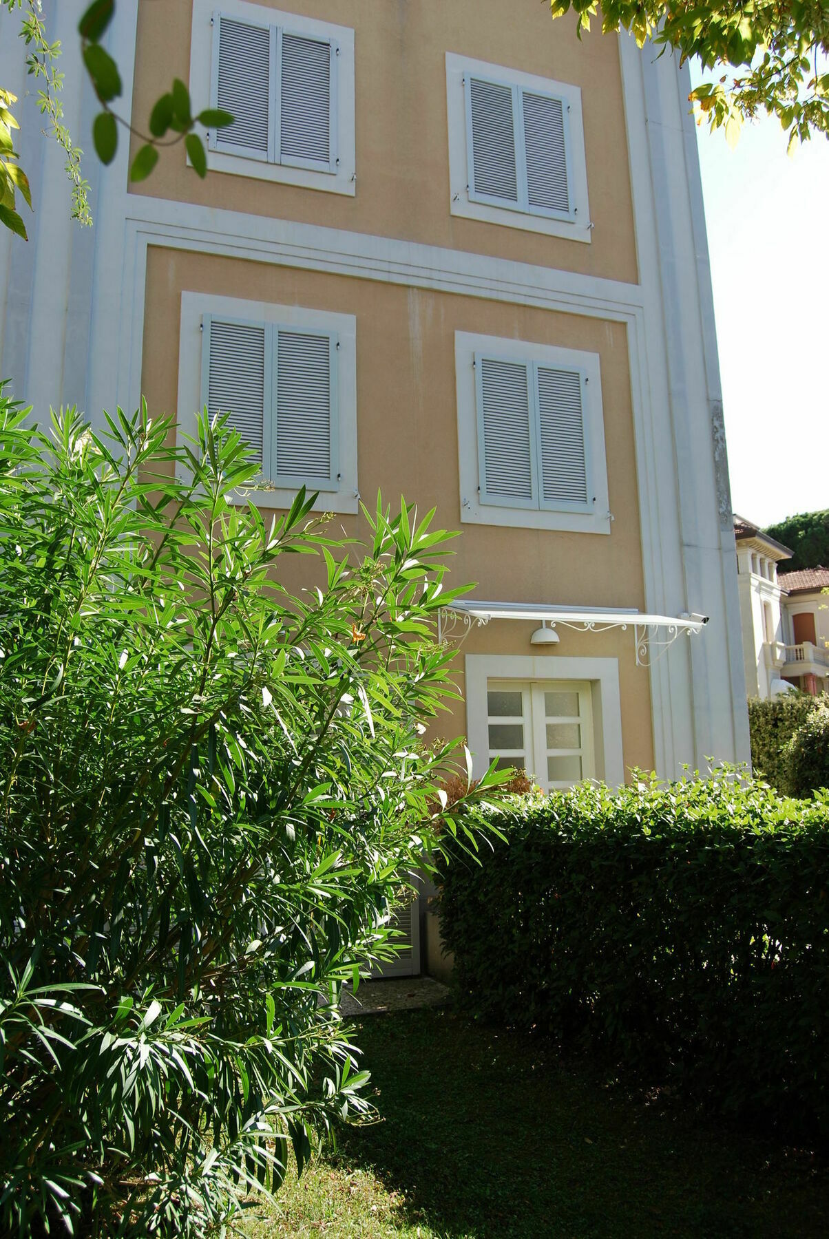 Ceccarini