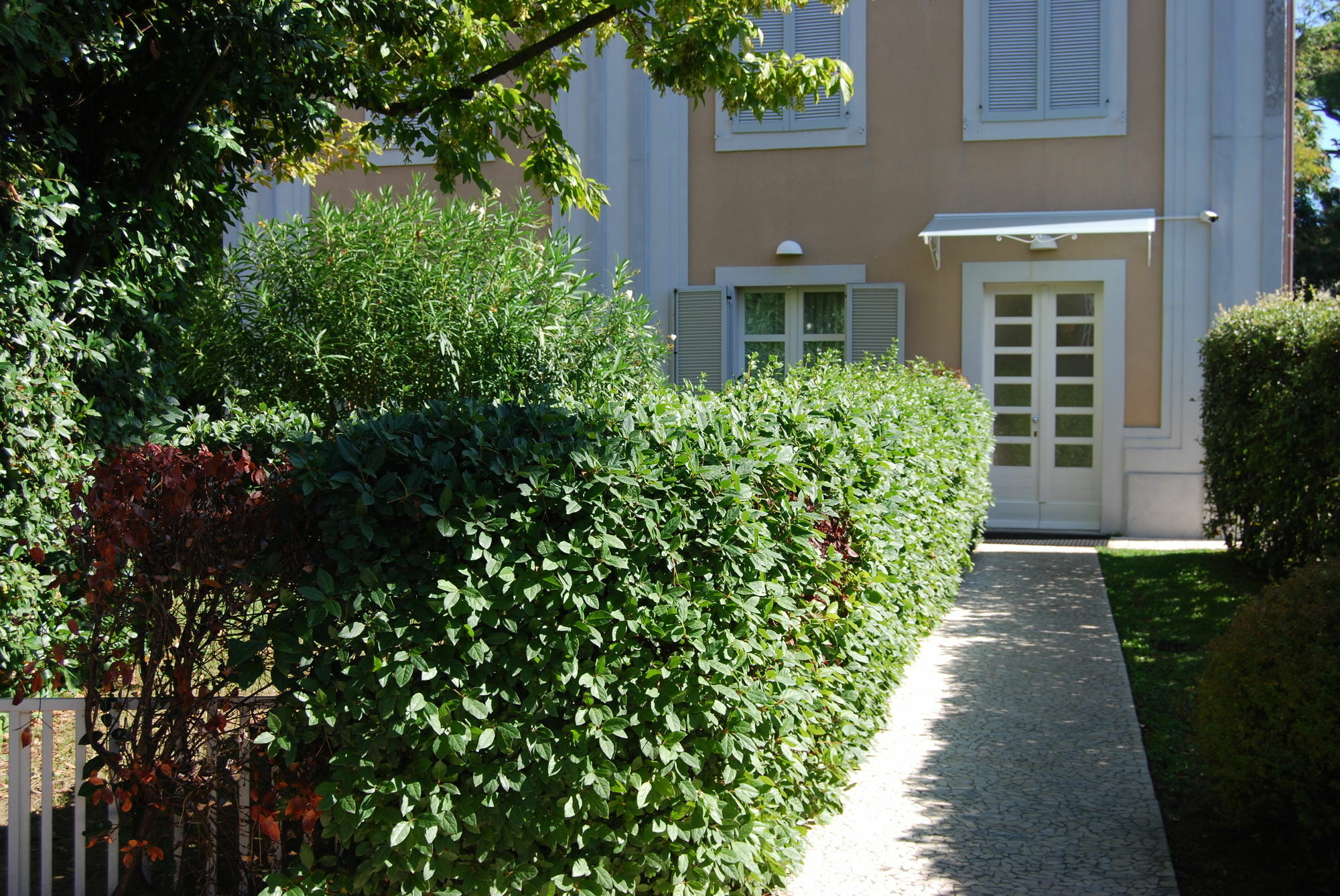 Aparthotel Ceccarini Riccione
