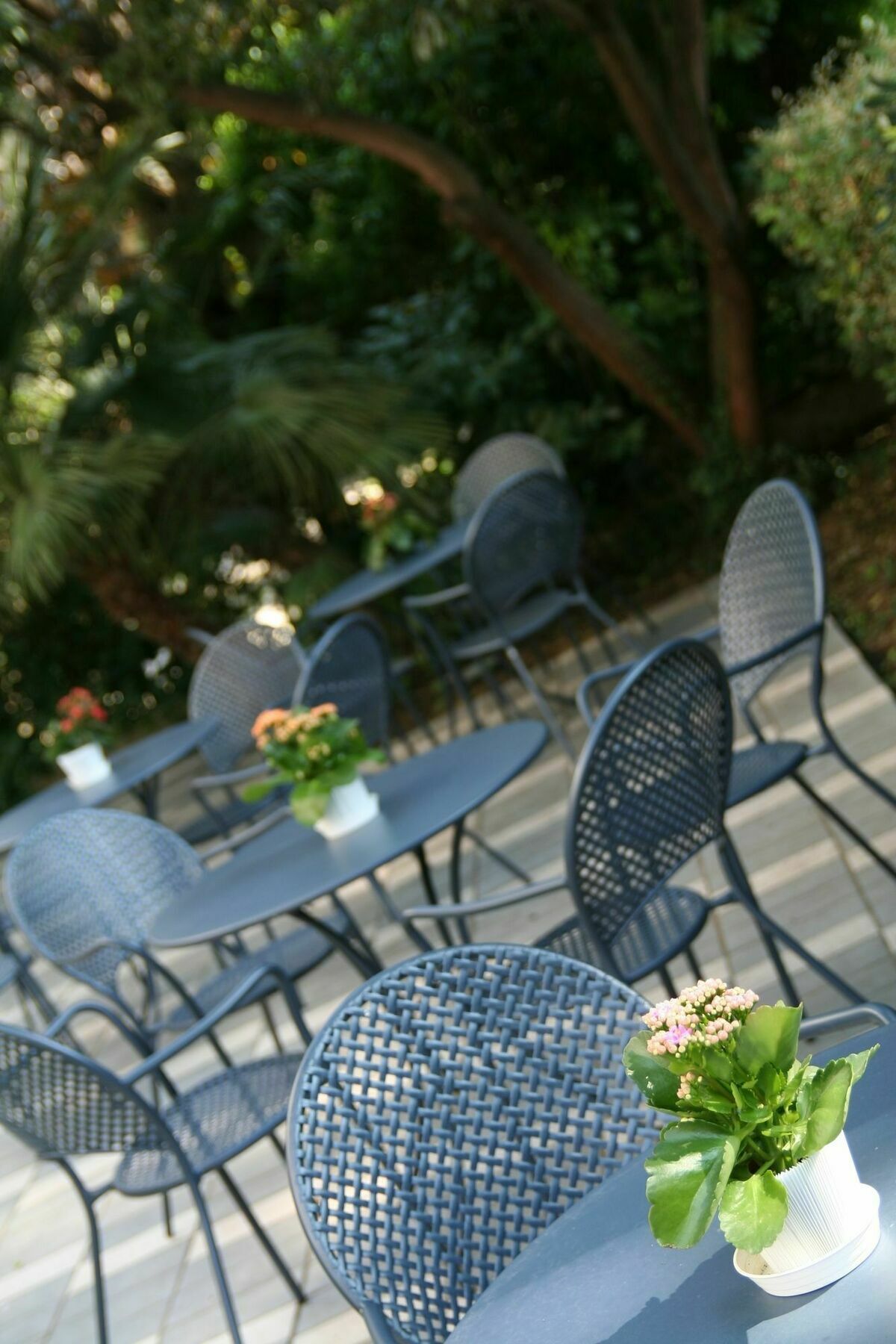 Augustus Hotel 4*