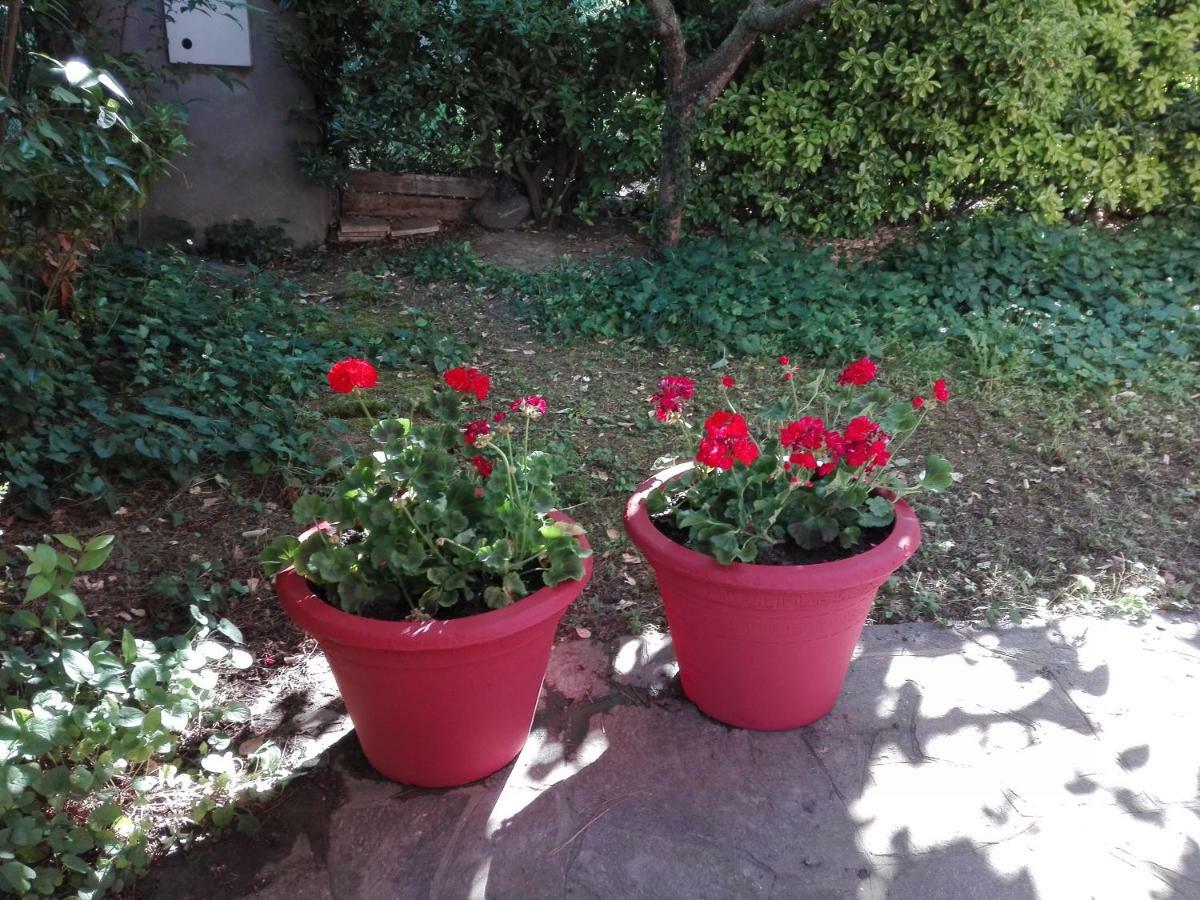 Country Appartamento *