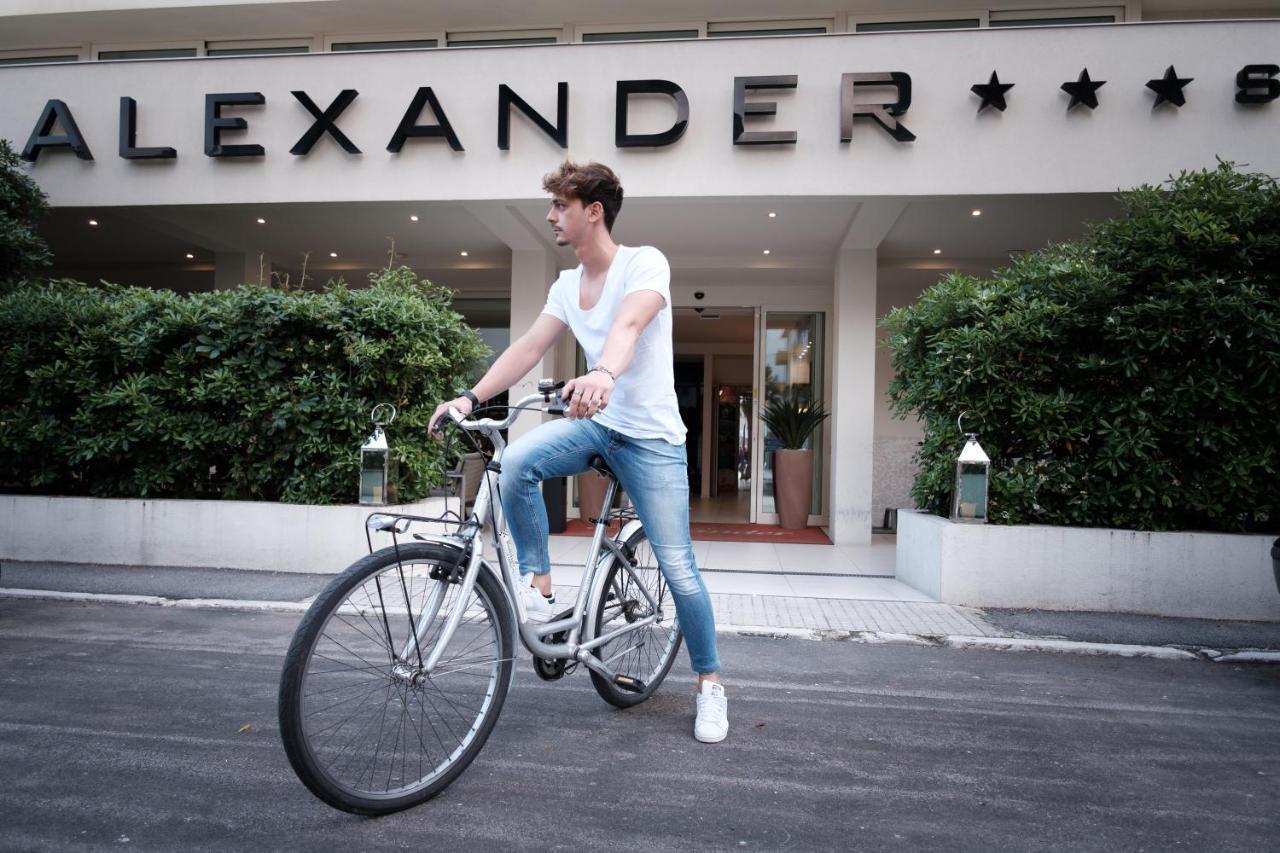 Alexander Hotel 3*