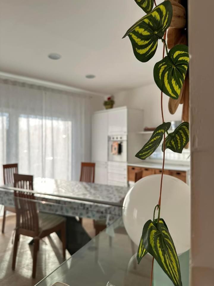 Roberta Apartment Riccione
